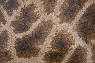 Similar image 13125174