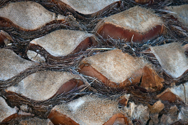 Similar image 13125189