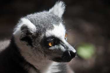 Similar image 13125190