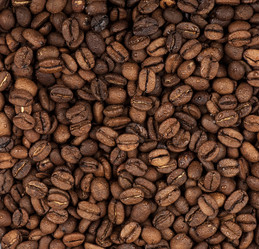 Similar image 13124861