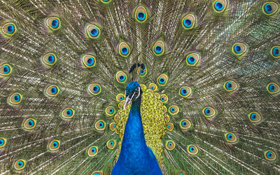 Similar image 13124918