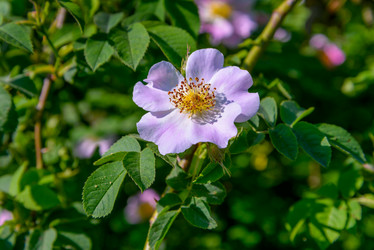 Similar image 13125083