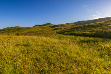 Similar image 13125267