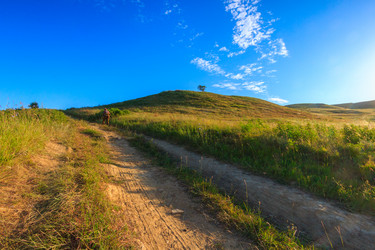 Similar image 13125269