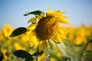 Similar image 13125025