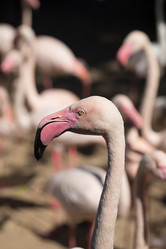 Similar image 13125026