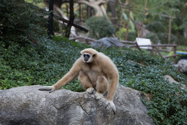 Similar image 13125028