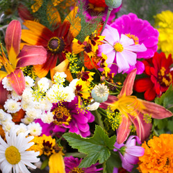 Similar image 13125036