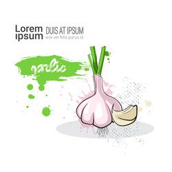 Similar image 13138949