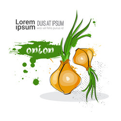 Similar image 13139028