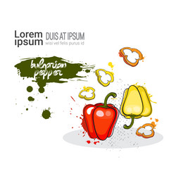 Similar image 13139029