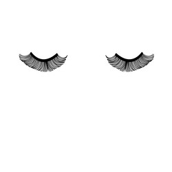 Similar image 13127262