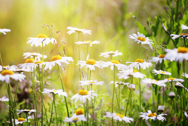 Similar image 13125292