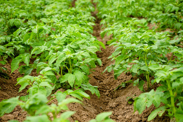 Similar image 13125946