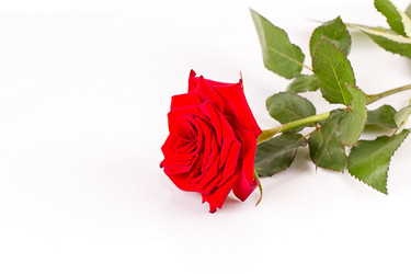 Similar image 13126929