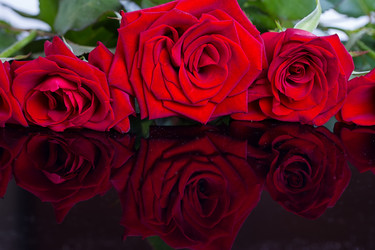 Similar image 13126933