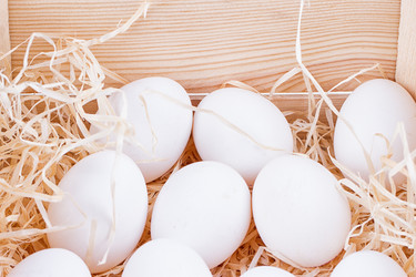 Similar image 13126896