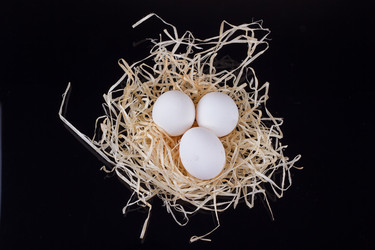 Similar image 13125401