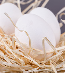 Similar image 13126902