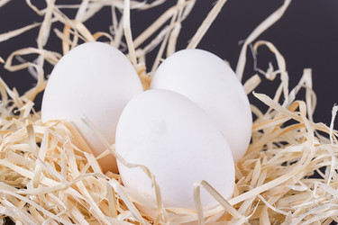 Similar image 13126903