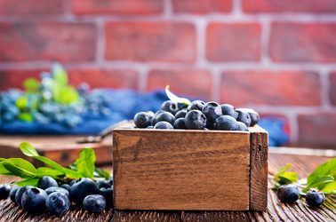 Similar image 13126331