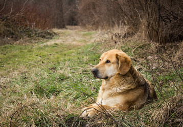 Similar image 13127173