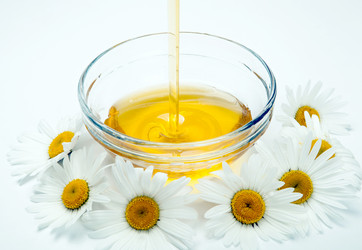 Similar image 13125673