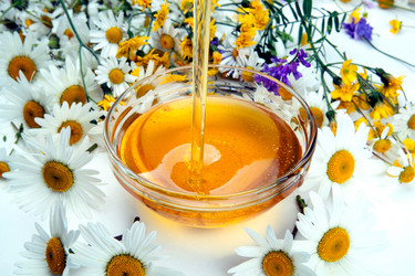 Similar image 13125693