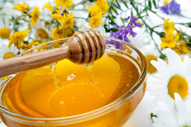 Similar image 13125695