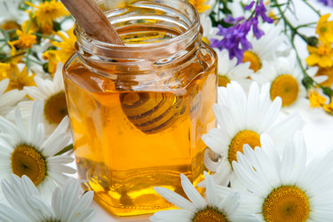 Similar image 13125699