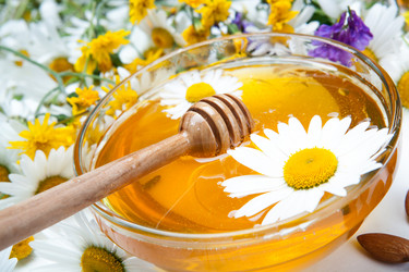 Similar image 13125656