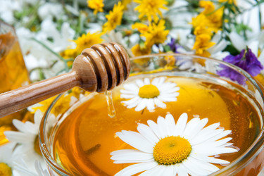 Similar image 13125658