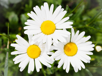 Similar image 13126841