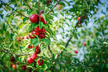 Similar image 13131903