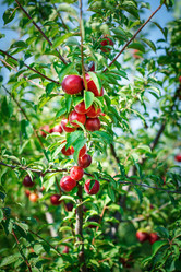 Similar image 13131905