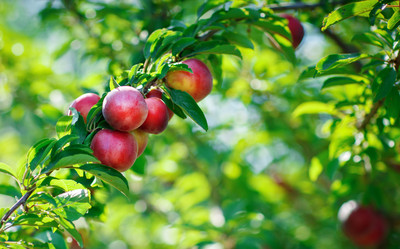 Similar image 13131908