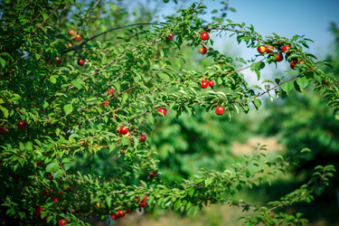 Similar image 13131909