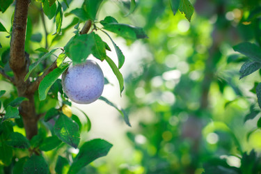 Similar image 13131930