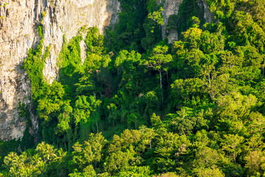 Similar image 13137156