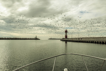 Similar image 13126846