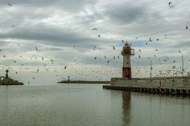 Similar image 13126847