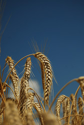 Similar image 13127213