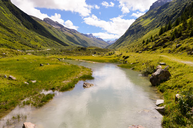 Similar image 13132504