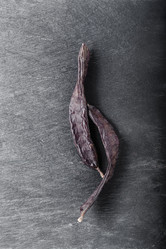 Similar image 13132917