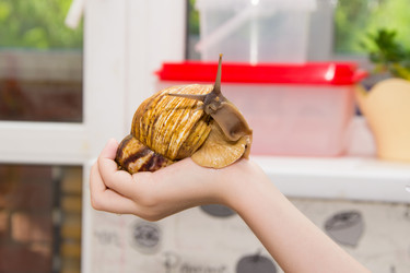 Similar image 13137780