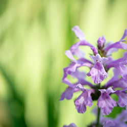 Similar image 13146843