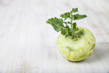 Similar image 13132708