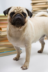 Similar image 13132737