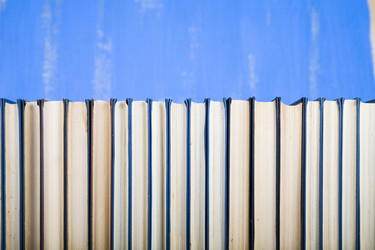 Similar image 13132742