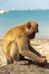 Similar image 13146765